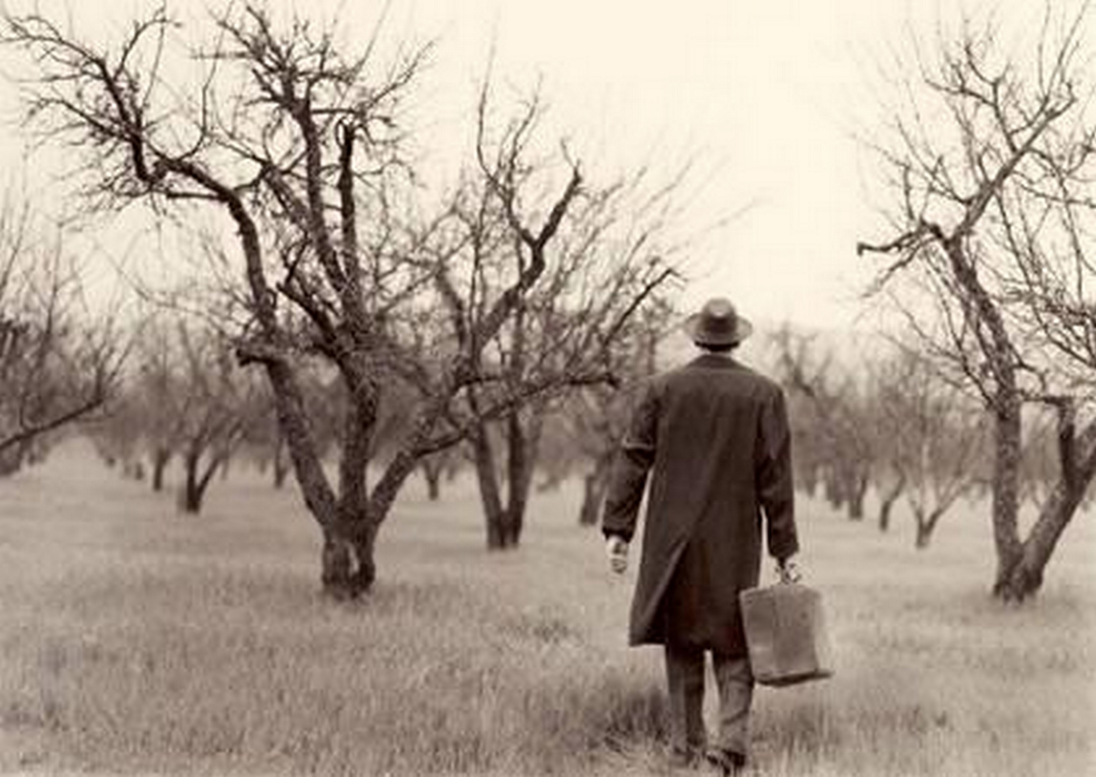 Su Parenti Americanu in scena ad Is Mirrionis