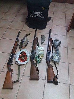 Caccia alla tortora, cinque cacciatori denunciati dalla Forestale