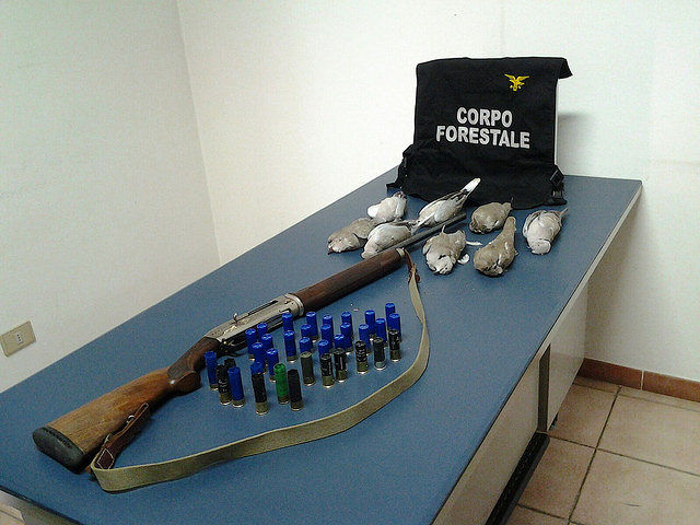 Muravera, cacciatori sorpresi ad abbattere tortore e piccioni: denunciati