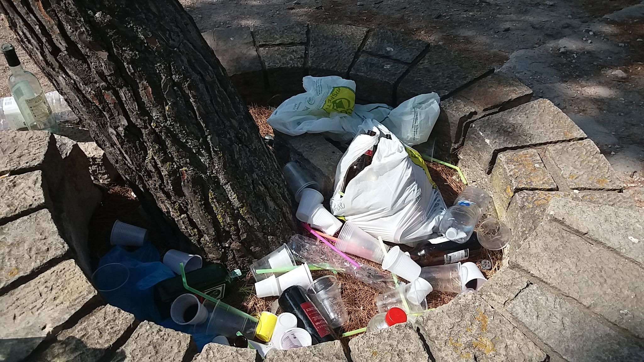 Le serate alcoliche dei giovanissimi deturpano viale Fra Ignazio