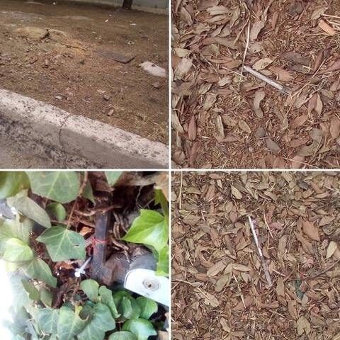 “Is Mirrionis e San Michele, quartieri in ostaggio dei tossicodipendenti”