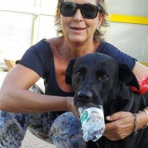 Addio Ornella, si spegne il sorriso della bibliotecaria cagliaritana