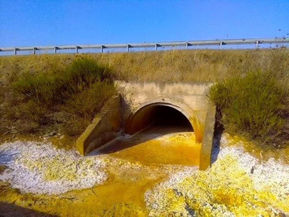 “Sarcofago della morte” sulla 131, i grillini chiamano il ministro