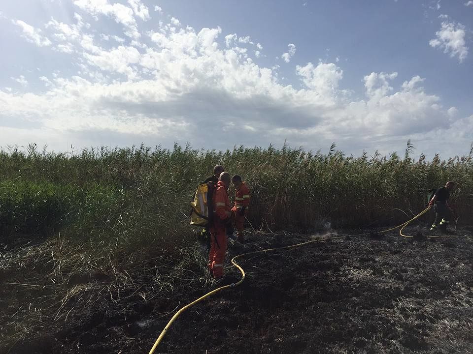 Fumi tossici a Molentargius: 50 camion di terra per soffocare il rogo