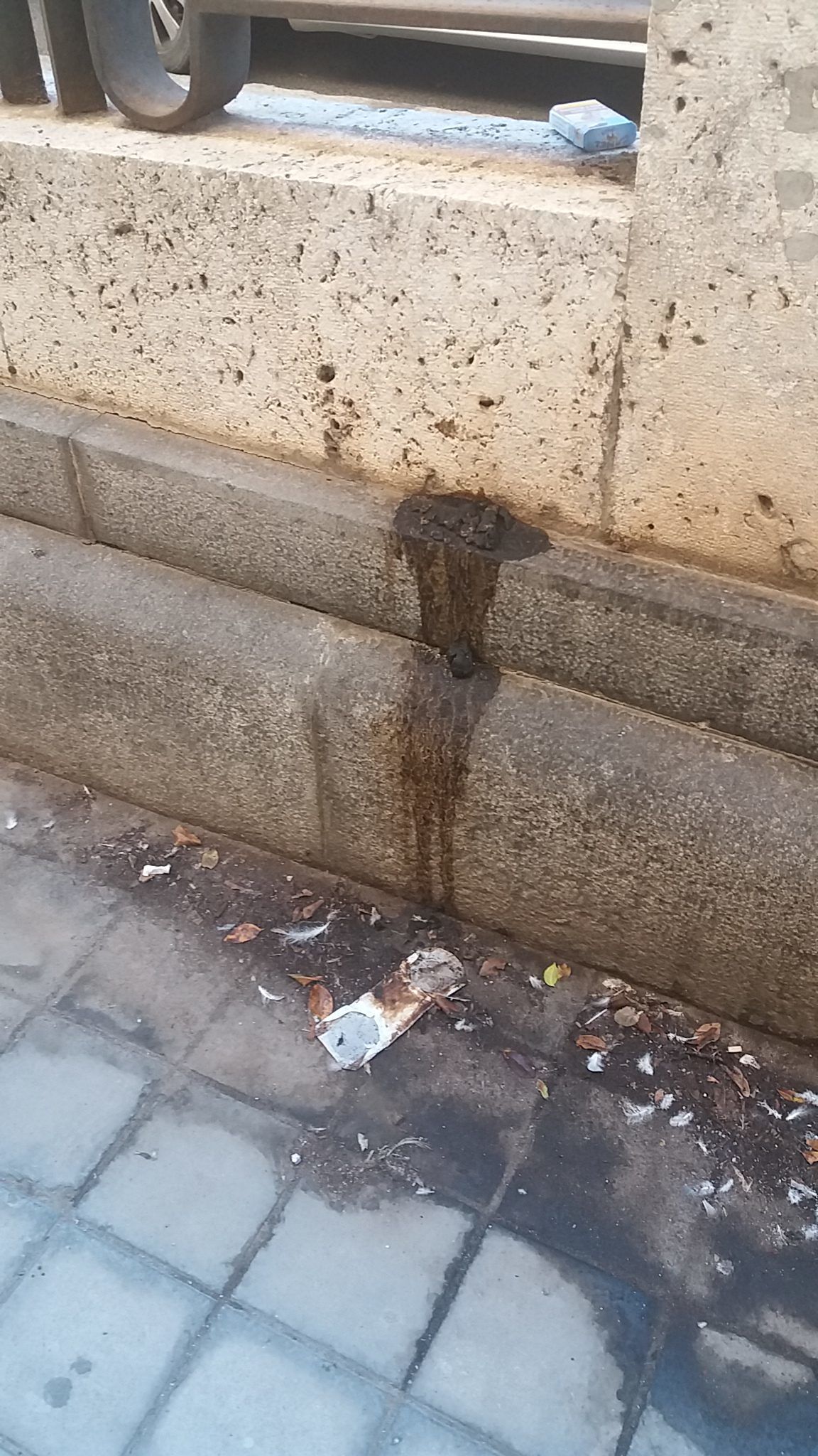 Piazza del Carmine: “Il Comune chiude gli occhi, ma il degrado è inaccettabile”