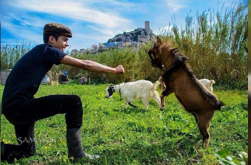 Elia, 17 anni, sardo: sognava di fare il pastore, gli rubano tutte le pecore