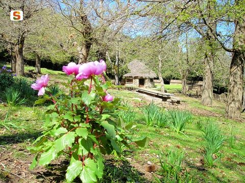 Seulo, via al progetto per lo sviluppo del bosco: “In arrivo posti di lavoro”