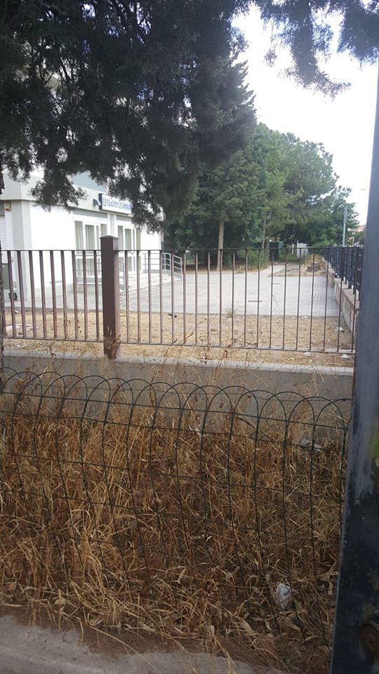 Via Resistenza, nella scuola di Pirri spunta un topo gigante: genitori in rivolta