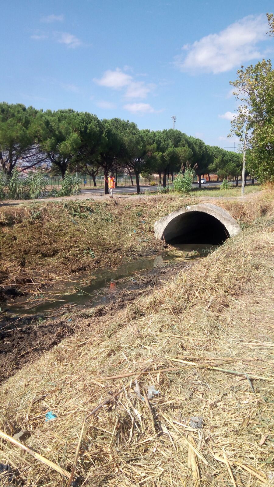 Monserrato, puliti il Riu Saliu e Riu Mortu