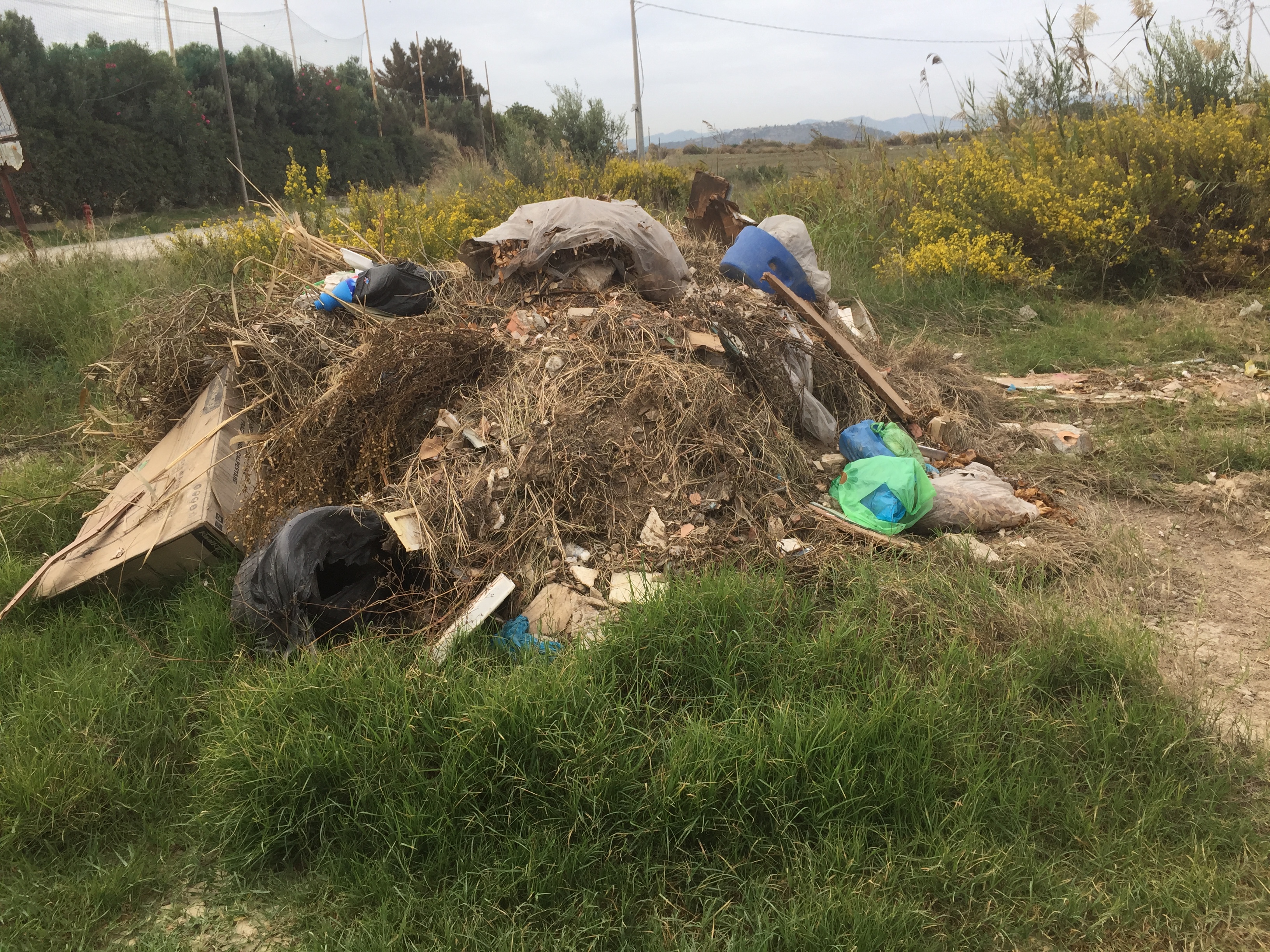 Molentargius: via alla pulizia ai confini del parco, “rifiuti abbandonati senza ritegno”