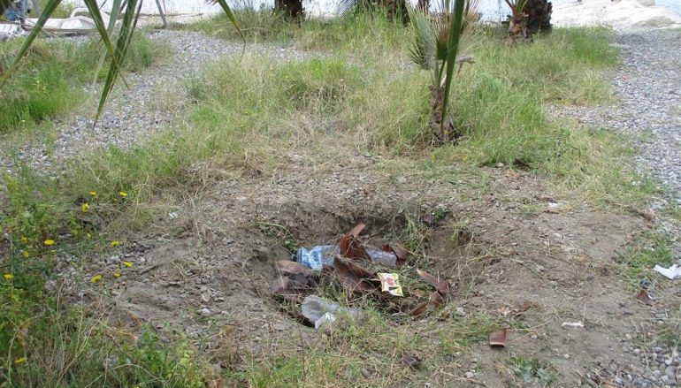 Sorpreso ad estirpare palme in viale Lungosaline: macedone nei guai