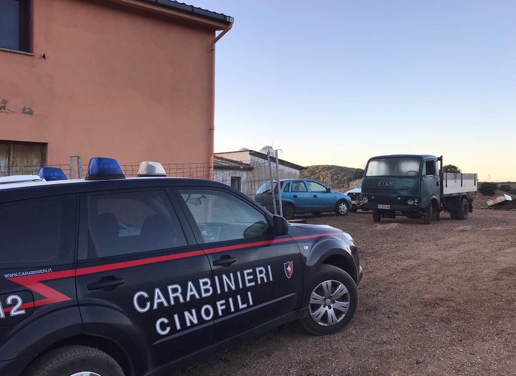 Blitz antidroga a Iglesias, 50 kg di marijuana in un’azienda di allevamento