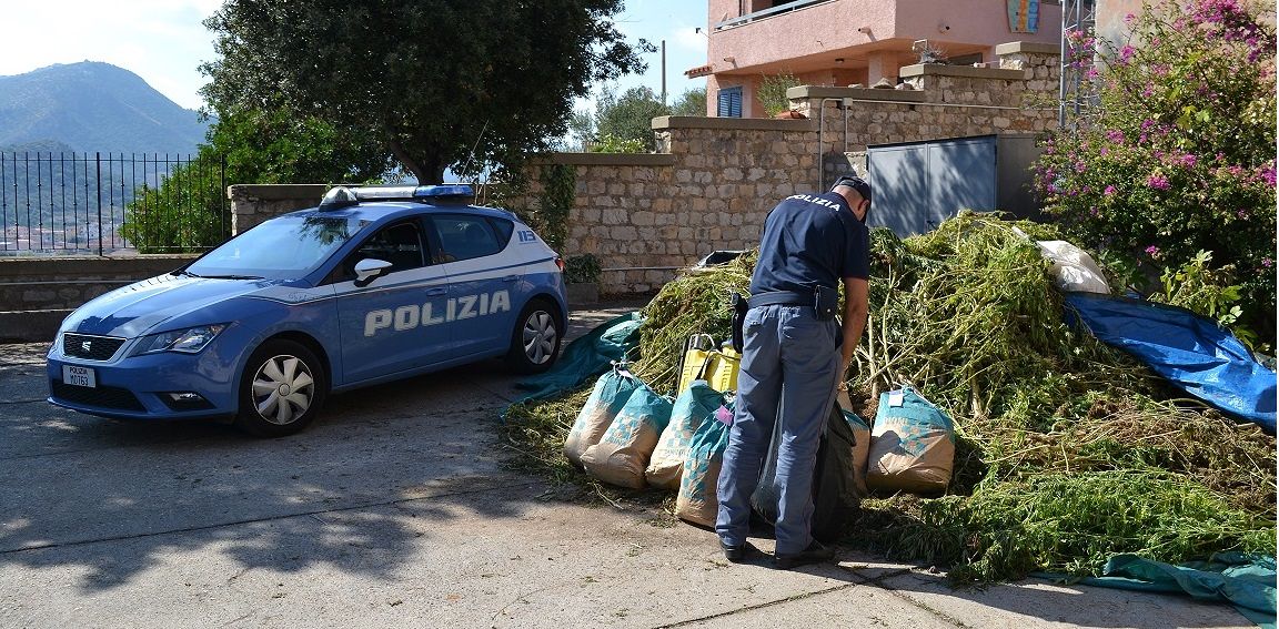 Baronia, è allarme marijuana: scoperta l’ennesima piantagione