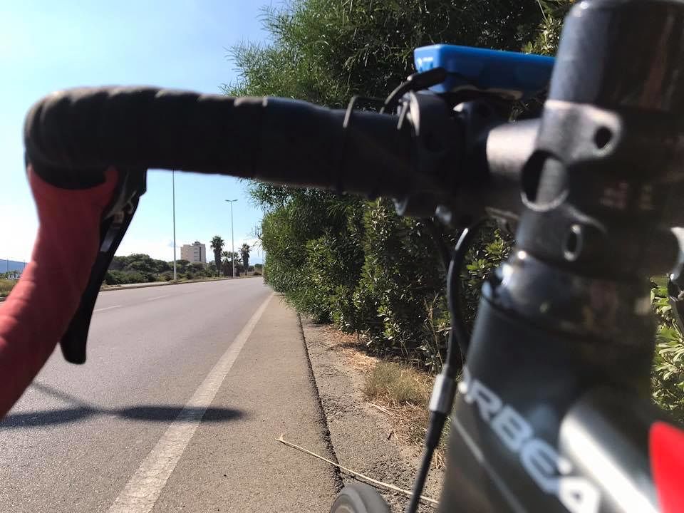 Piante pericolose al Poetto: “Alto rischio per chi passa in bici o in moto”