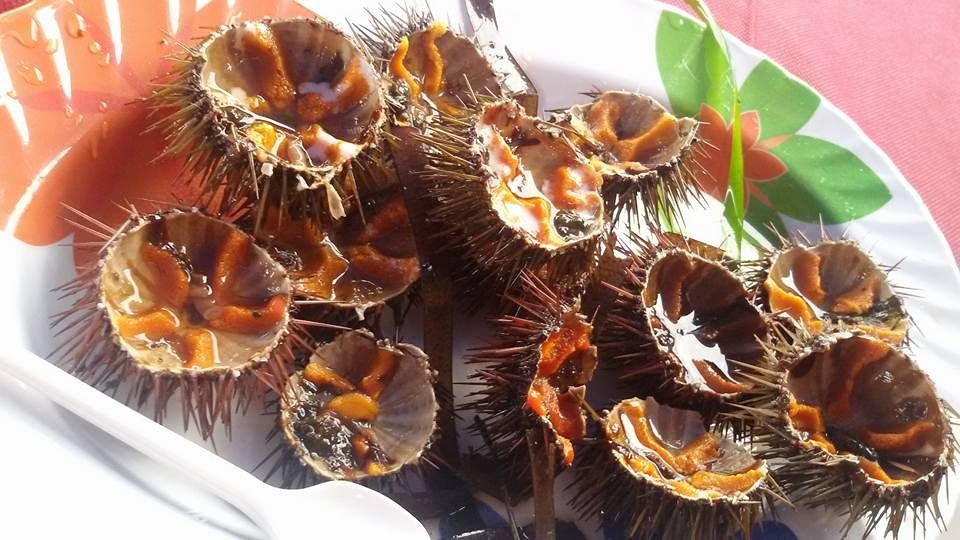 Cagliari, i ricciai pronti ad incrociare le braccia: stagione senza ricci?