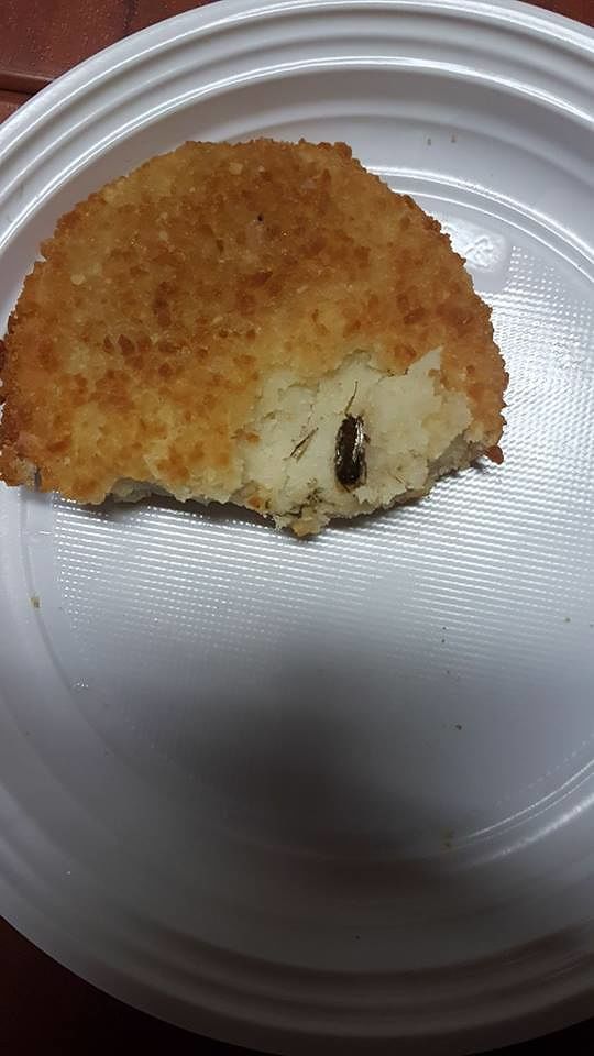 Quartu, la denuncia di una mamma: “Una blatta nel cibo della mensa, è vergognoso”