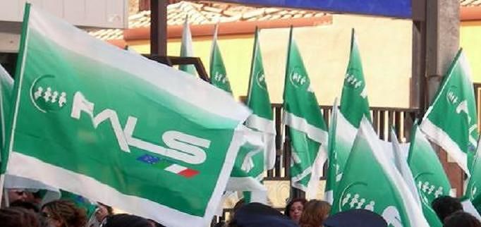 Sanità, Fials sugli scudi: “Come è stato scelto il referente dell’ufficio di gabinetto dell’assessorato regionale?”