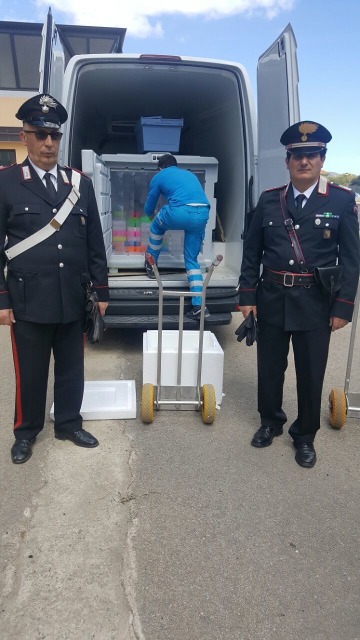 Furto Dna ogliastrino dal parco Genos: inviati 17 avvisi di garanzia