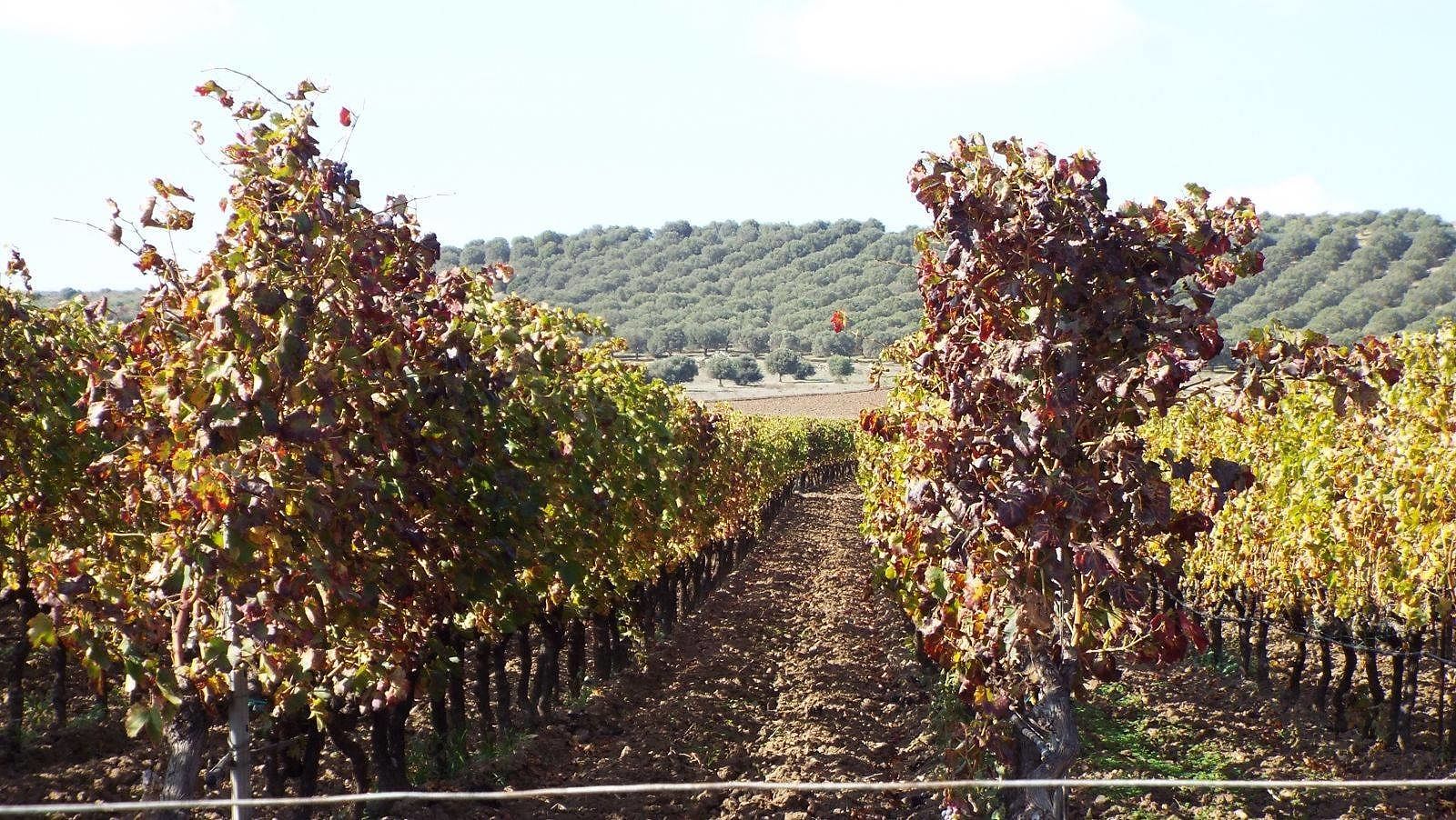 Turismo eno gastronomico, la nuova grande scommessa del Parteolla