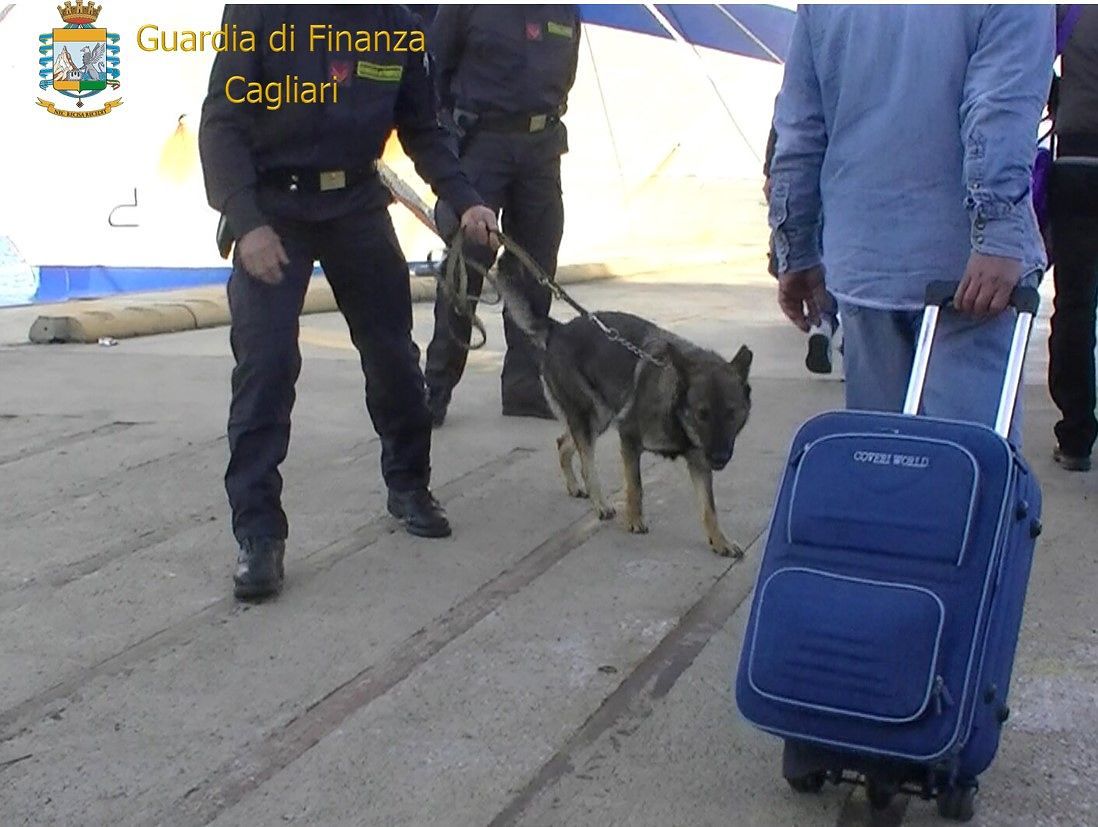 Guardia di Finanza: controlli antidroga presso aeroporti, traghetti e stazioni