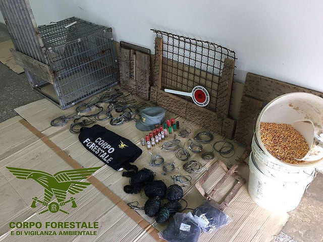 Bracconaggio aziendale, sequestrati strumenti di cattura e tagliole: 1 denuncia