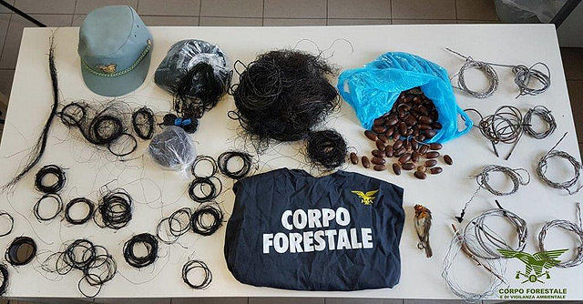 Cani nelle trappole per cervi, rabbia a Poggio dei Pini: 59enne denunciato