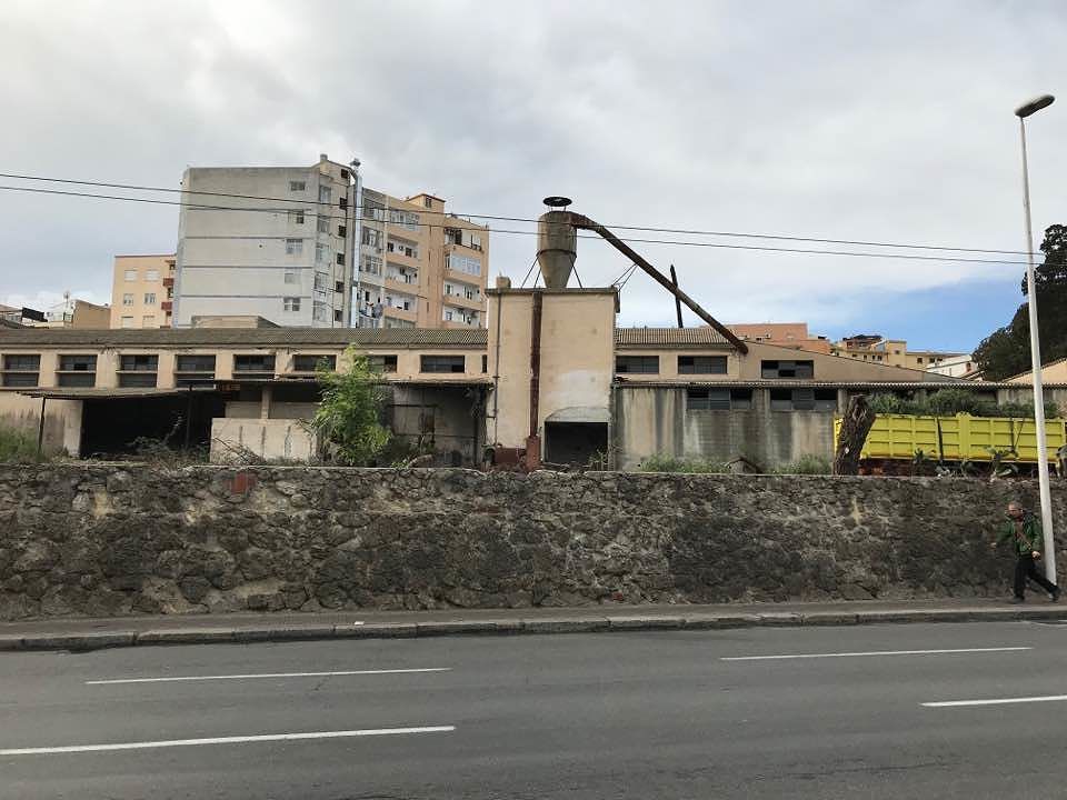 “Via Bacaredda, taglio selvaggio degli alberi: Zedda, avanti col cemento!”