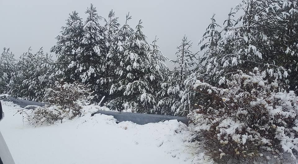 Sardegna, pian piano arriva l’inverno: ecco i primi paesaggi imbiancati