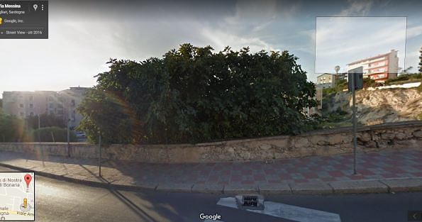 Cagliari, è strage di alberi: “Tagliati per fare posto alla speculazione edilizia”