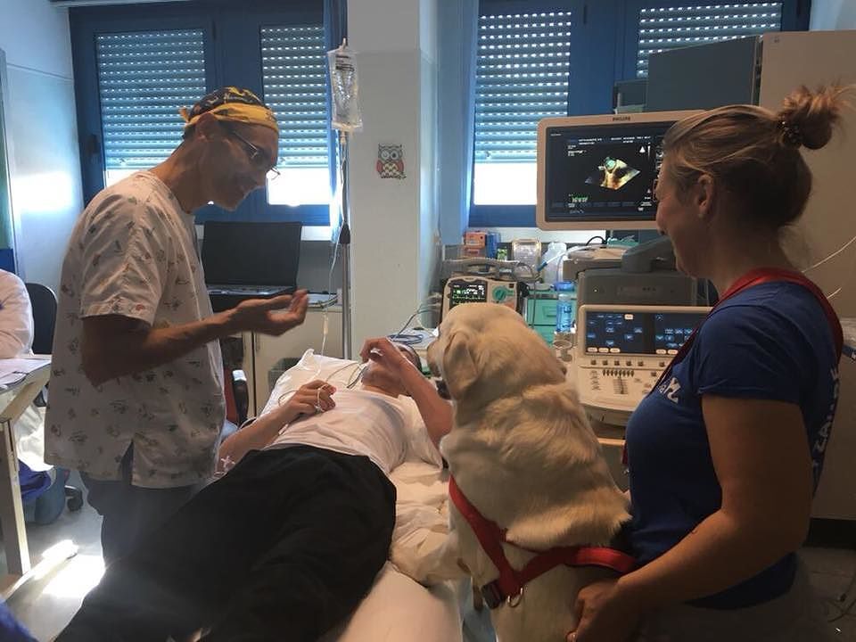 Cani in corsia negli ospedali cagliaritani, compagni fedeli per affrontare la degenza