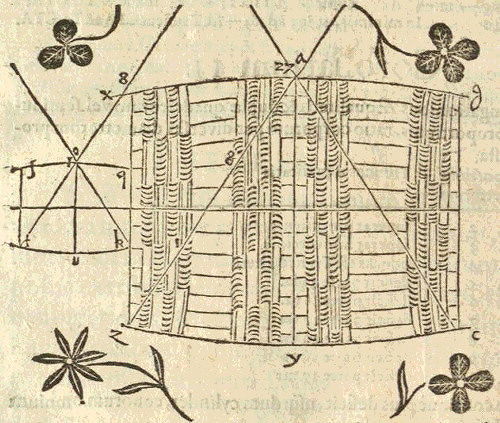 Università, gli insospettabili legami tra vino e matematica