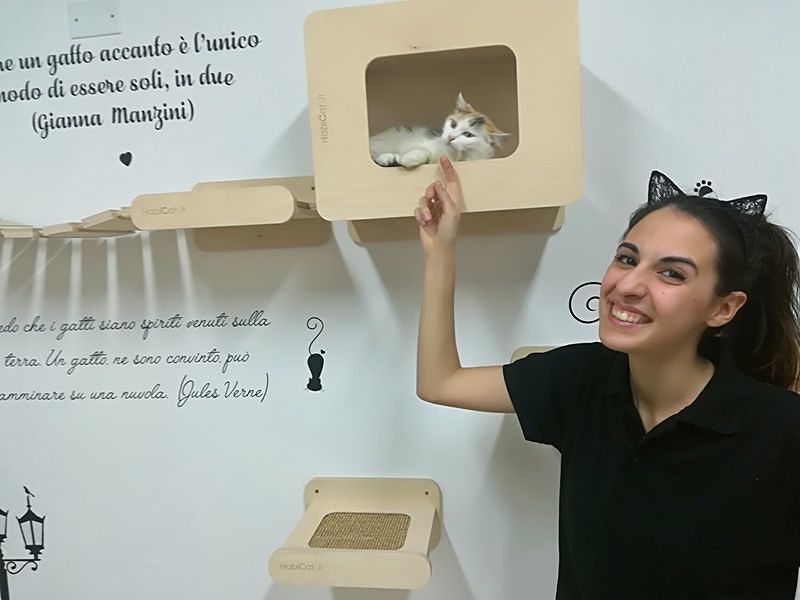 Caffè, tè e gatti. A Cagliari apre il primo Cat Cafè: “E Pet Therapy sia” (VIDEO)