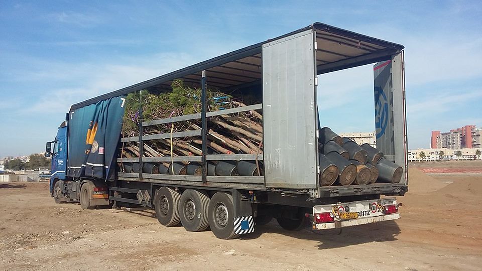 Sant’Elia, nasce il mega parco: presto piantati oltre 200 alberi