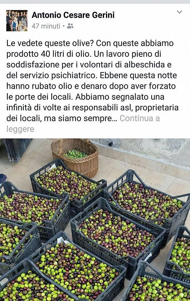 Sara Gerini: “Ladri d’olio contro i malati: a mio padre un furto che fa rabbia”