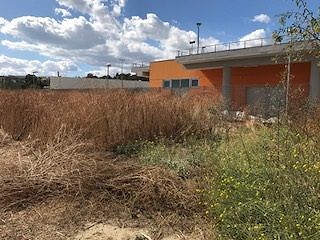 Via dei Valenzani, case dimenticate tra strade senza nome e discariche abusive