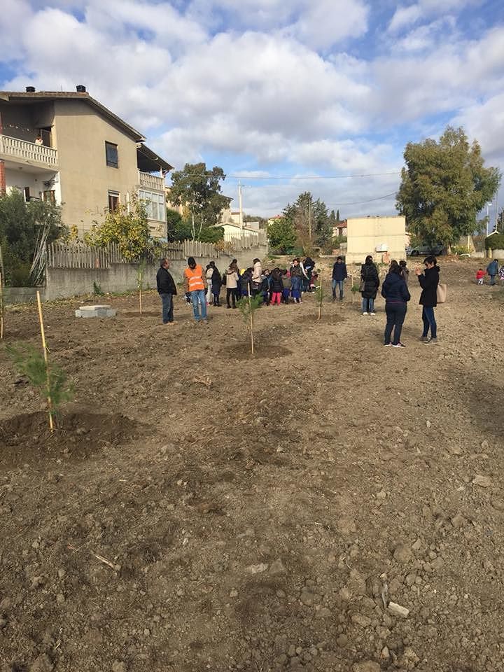 Guasila, la festa dell’albero con tanti bambini in una giornata speciale