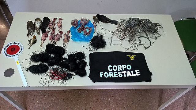 Capoterra, denunciati due bracconieri che intrappolavano le grive