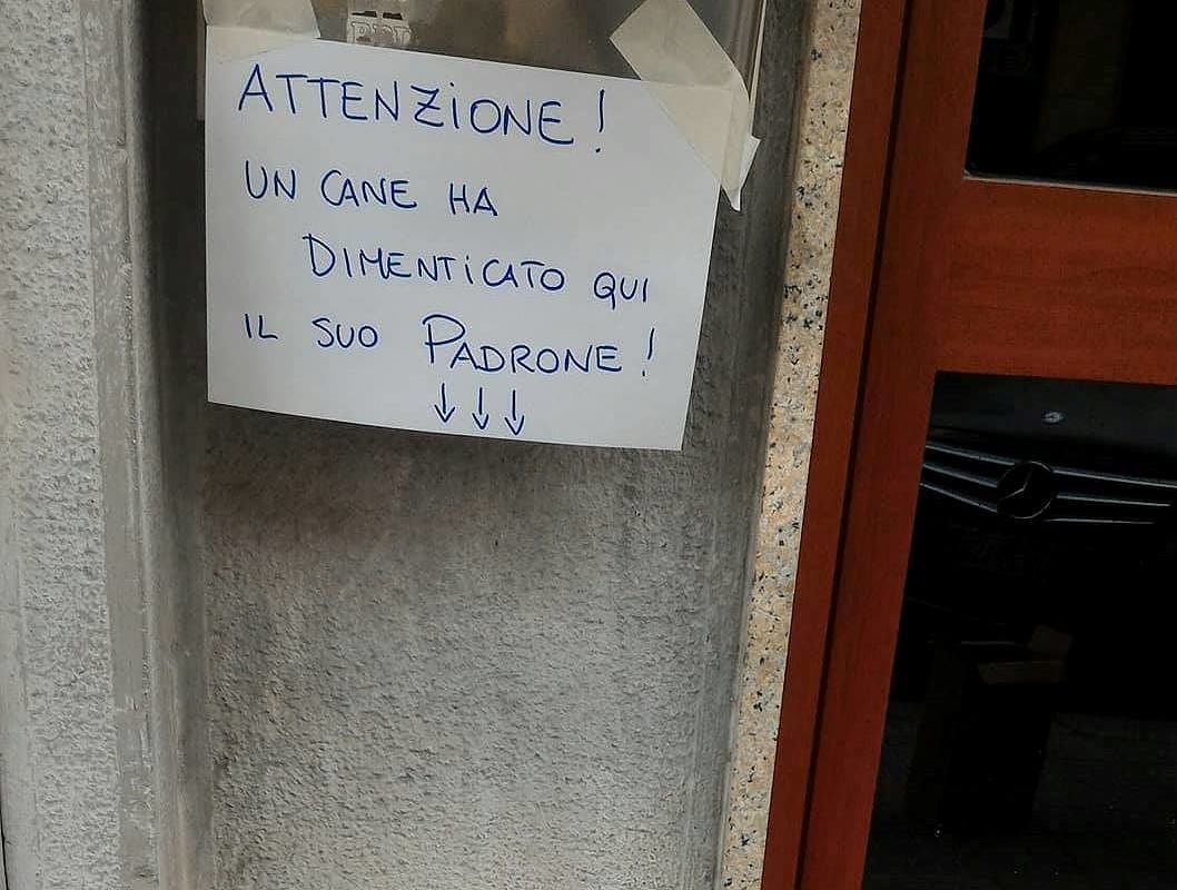 Succede a Cagliari: “Attenzione! Un cane ha dimenticato qui il suo padrone!”