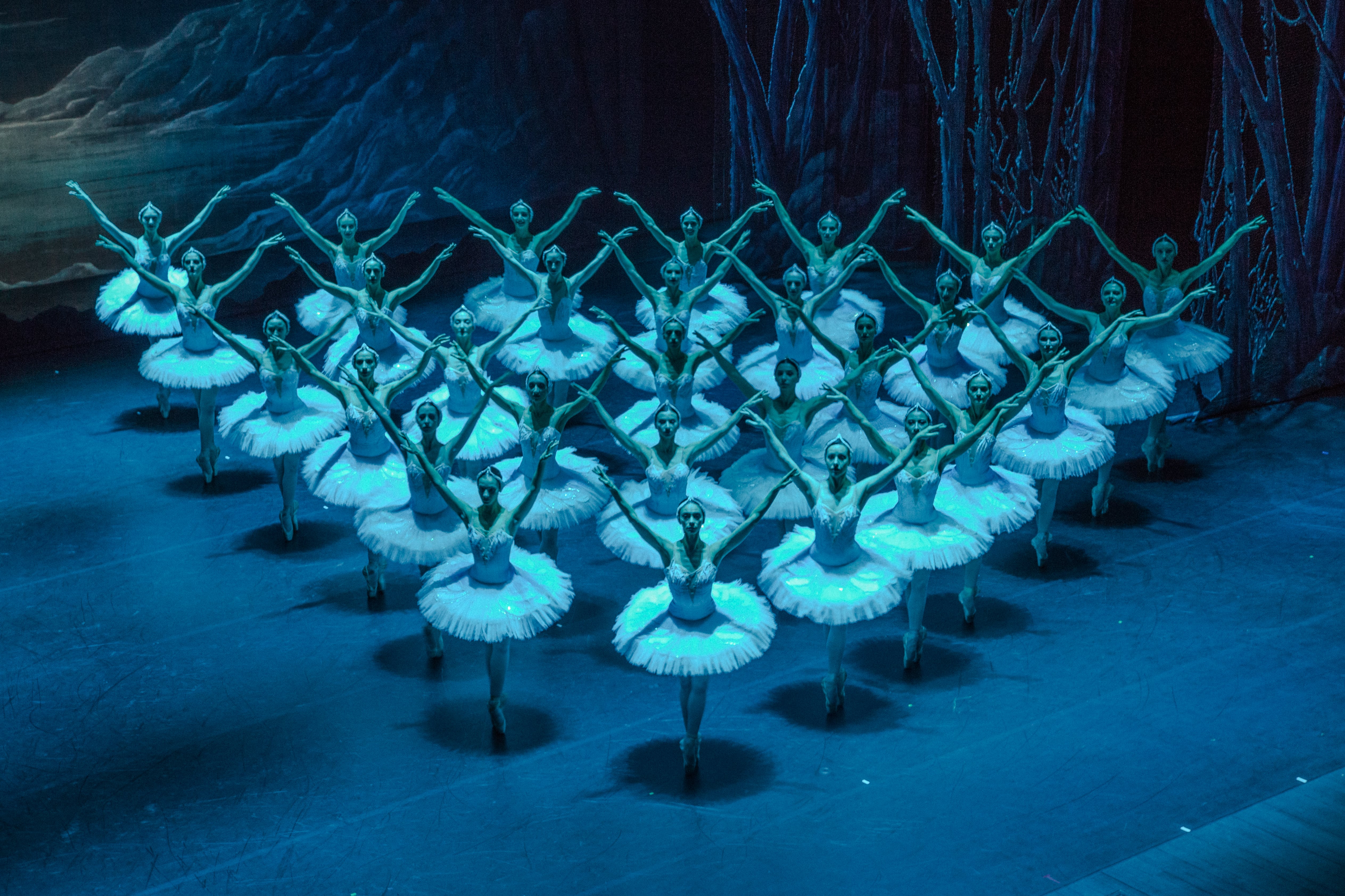 Silvia Poletti presenta Il lago dei cigni di Pëtr Il’ič Čajkovskij