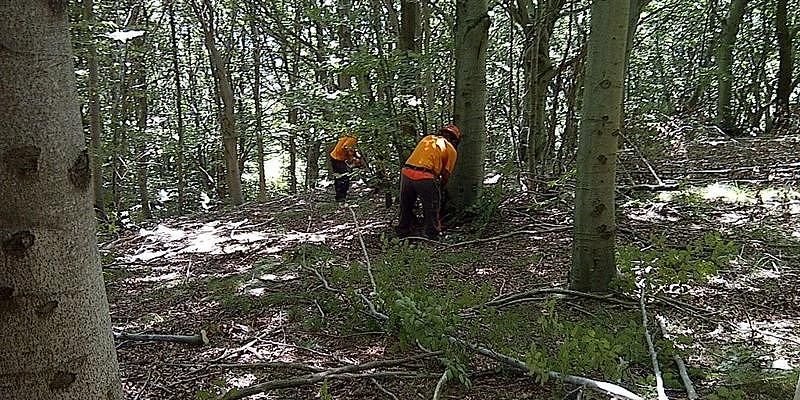 Cagliari, lavoratori Forestas in piazza: “Basta politici e sindacalisti di professione”