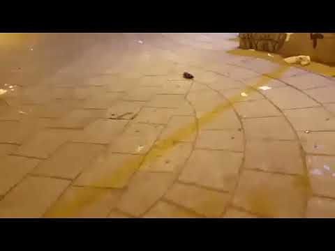 Vandalizzata Piazza Sant’Eulalia, il Comune: la chiuderemo con una cancellata