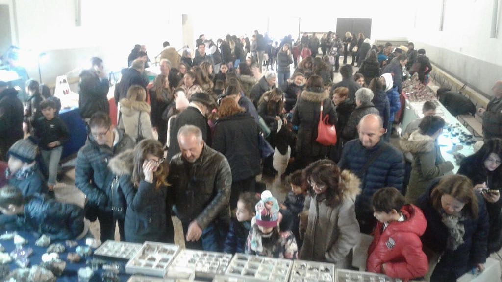 Fossili e minerali da tutto il mondo in mostra a Monserrato: boom di visitatori