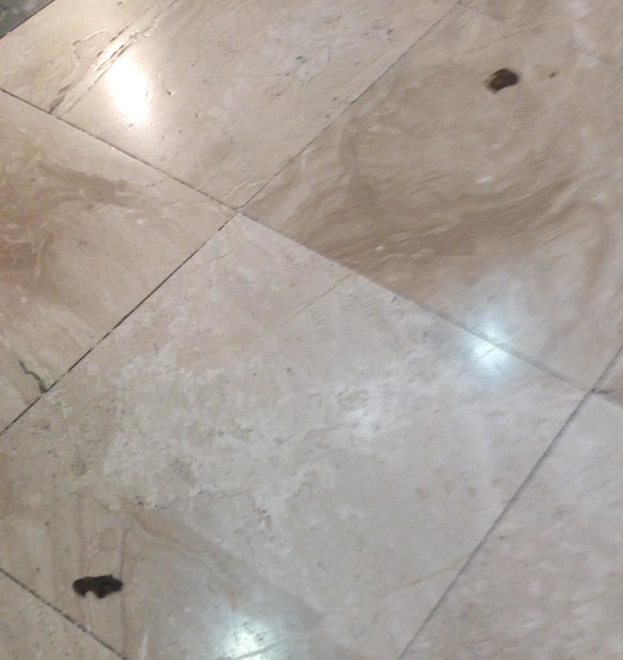 Polemica a Quartucciu: “Sterco di cani dentro il centro commerciale Le Vele: è una indecenza”