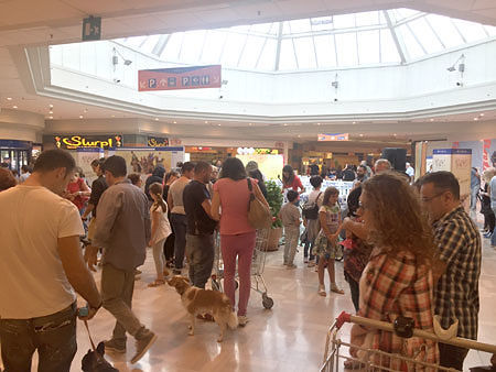 Cani nei centri commerciali? “Colpa di padroni egoisti ed esibizionisti”