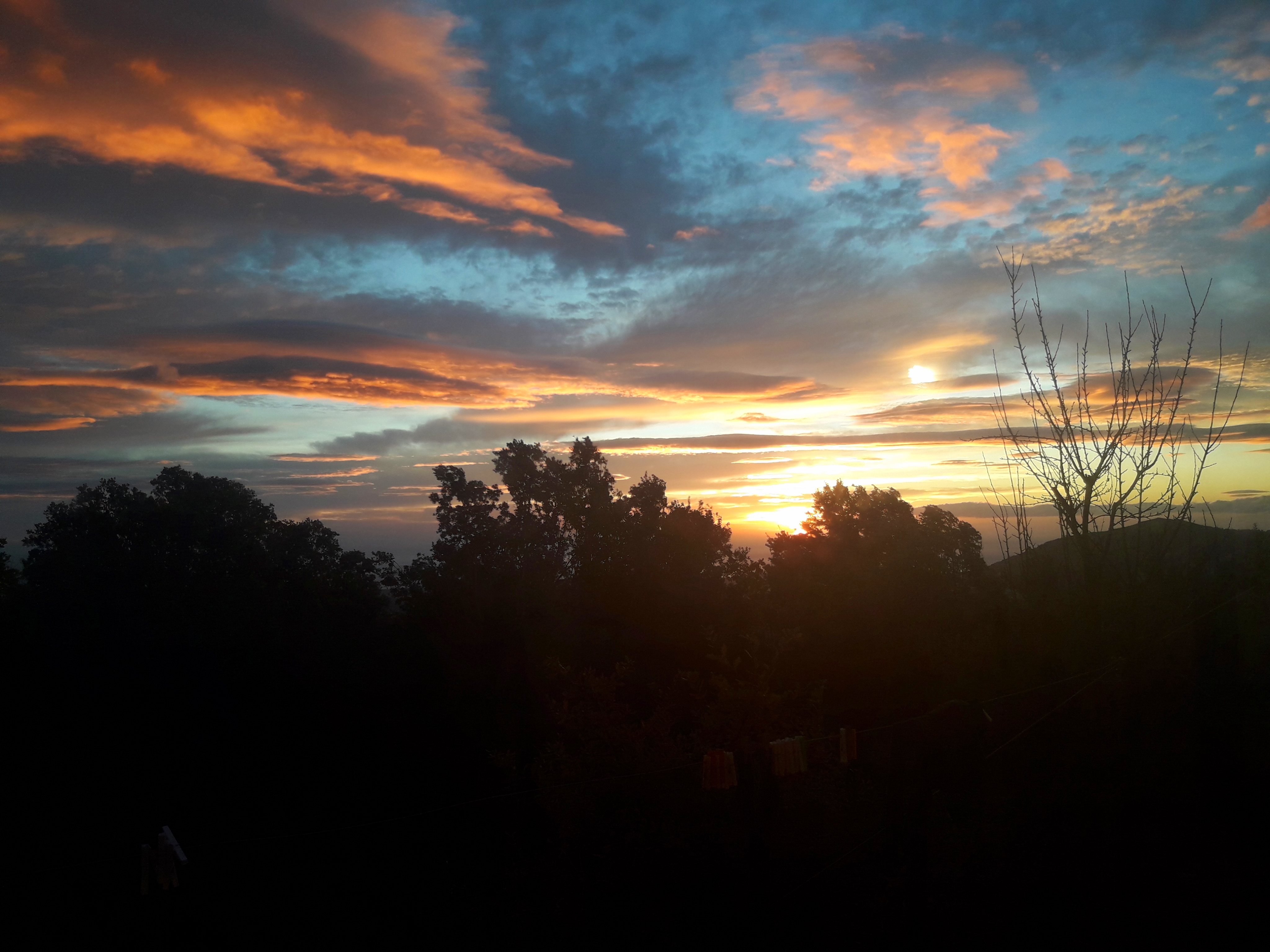 “Chi sono Picasso, Caravaggio e Van Gogh di fronte alla creazione di Dio?”