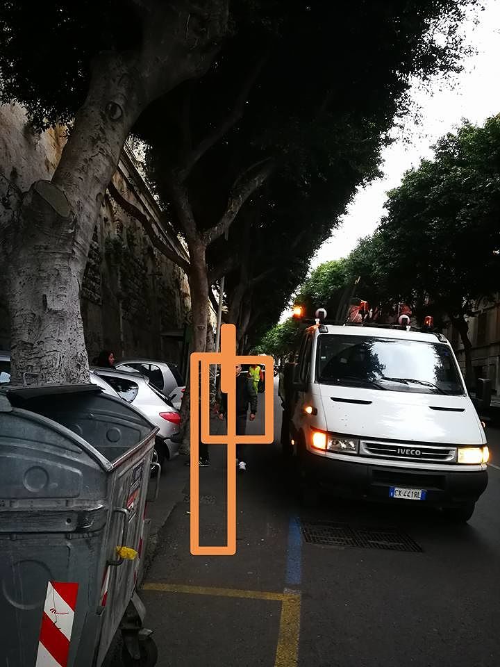 Cagliari, la potatura degli alberi intrappola gli automobilisti proprio sotto Natale