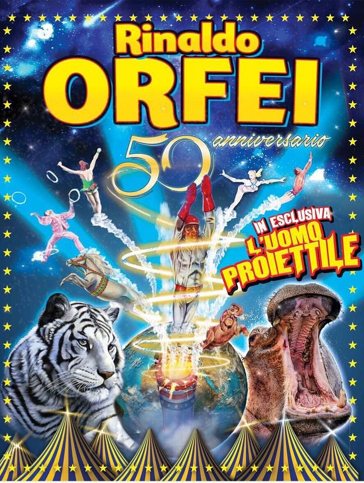 Cagliari, torna il circo Orfei dopo 20 anni: animalisti all’attacco