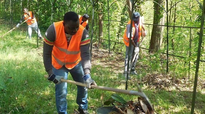 Pulizia di strade e giardini: sì ai lavori socialmente utili per i migranti