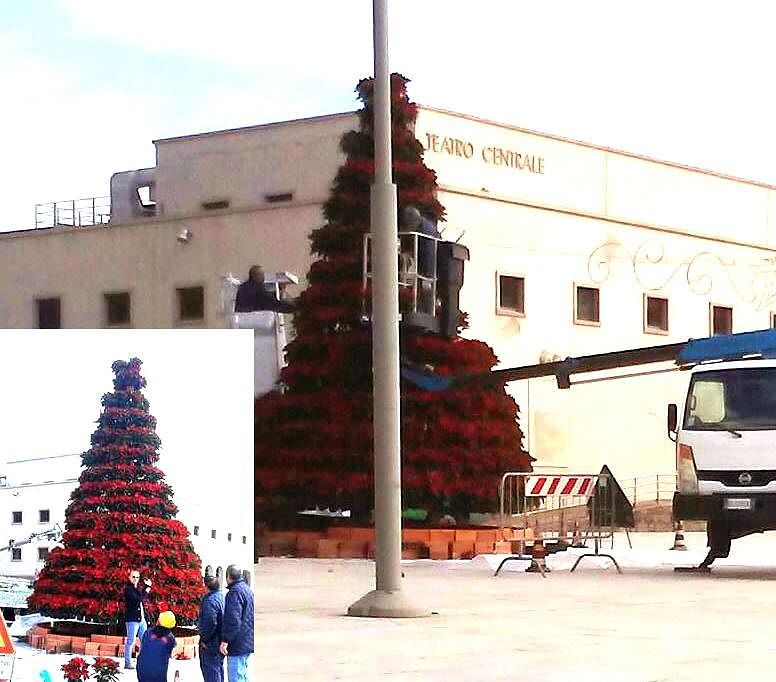 A Carbonia l’albero di Natale più bello di tutta la Sardegna