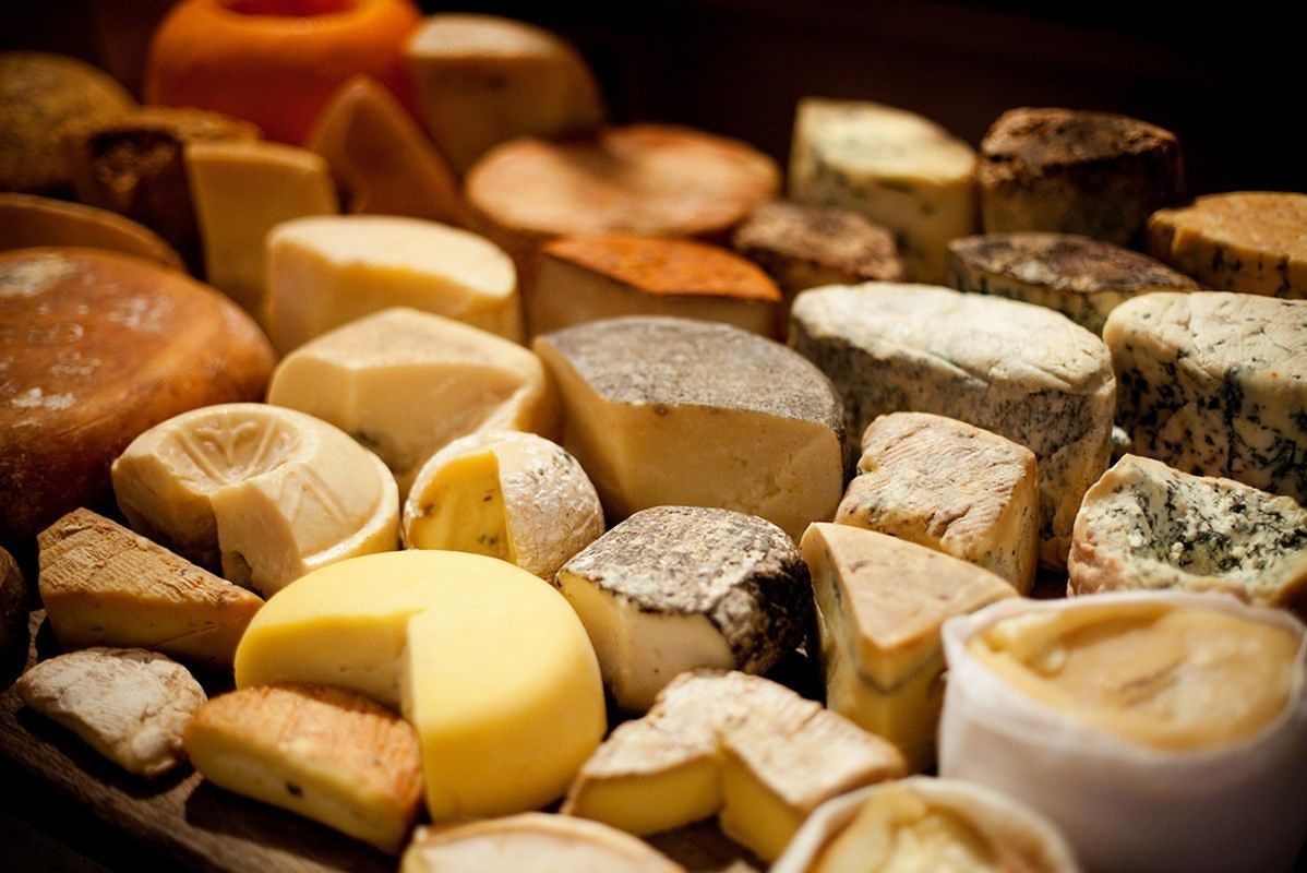 Ladri all’Agrario: rubati mille formaggi fatti dagli studenti